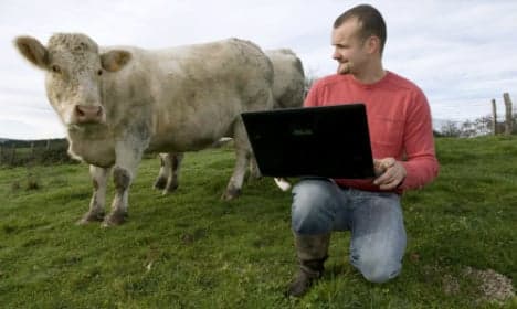 French dating site offers bulls on heat for cows