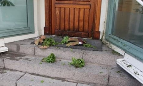 Suspect bomb parcel contained 'leafy greens'