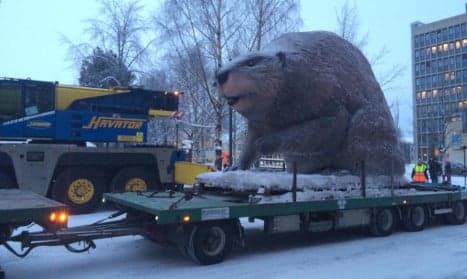 Sweden's Luleå carves spot for giant beaver