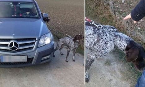 Woman walks dog while sitting in her Mercedes