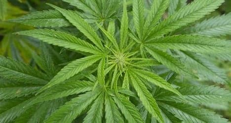 Geneva committee backs legalizing marijuana