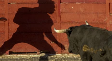 Scotsman had head 'split open' in bull run
