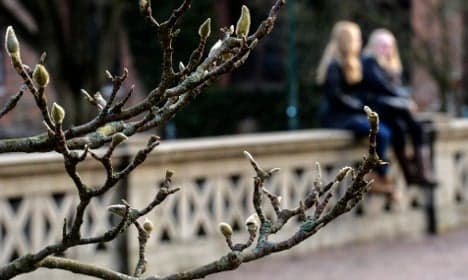 Sweden in for 'warmer than usual' spring