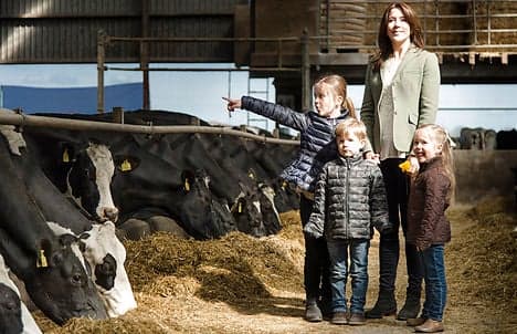 Cows and royals mix at Denmark's Organic Day