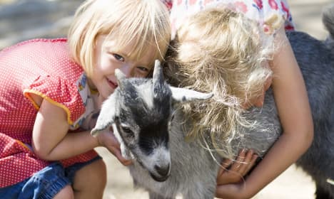 Animal 'eczema' closes Gothenburg kids' zoo