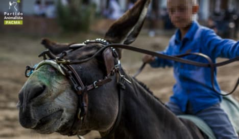 Horse deaths reveal dark side of Rocio pilgrimage