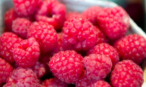 Frozen berries confirmed as deadly bug source