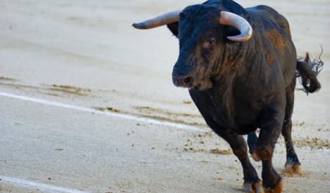 Rampaging bull injures 11 at fiesta in Spain