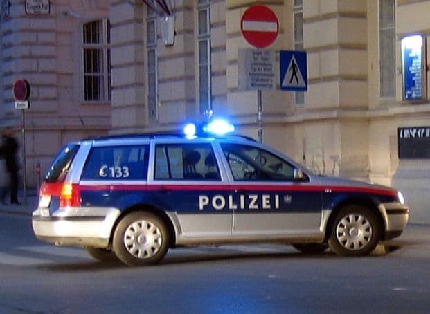 Vienna prisoners 'could work in police stations'