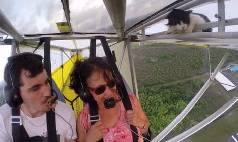 VIDEO: See the incredible flying cat