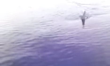 VIDEO: Great white shark spotted off Sicily