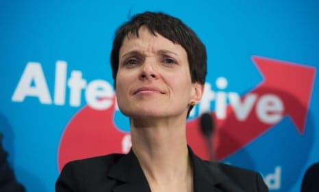 AfD ditches Lucke as party swings to right
