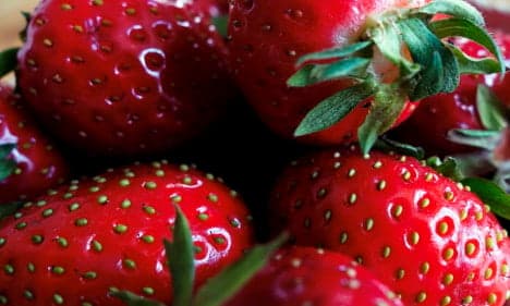 Fears over fake 'Swedish' strawberry sales