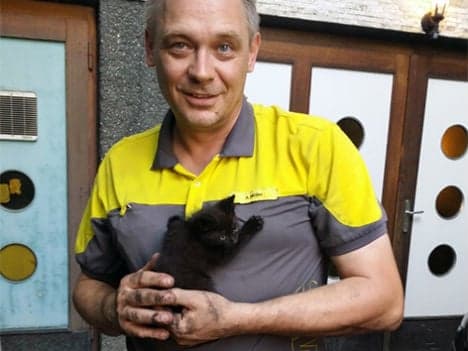Farm kitten hitches ride to Vienna