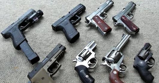 New Slovakia law may limit Swedish gun use