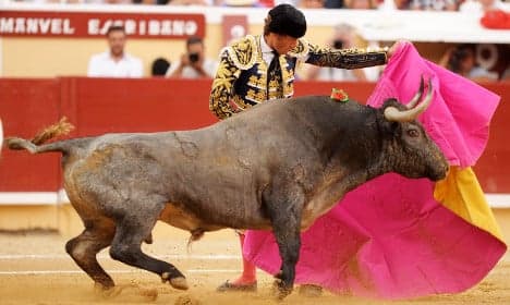 French bullfighting president mauled by bull