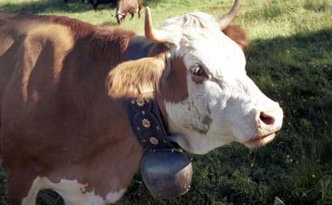 Bavaria fights activist assault on cow bells