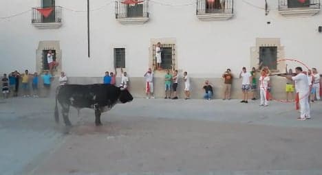 Bull shot in the street at fiesta after goring man