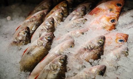Researchers puzzled by declining fish health