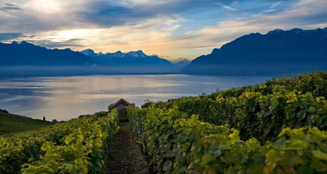 Industry fears for Swiss wine’s market share