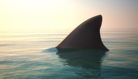 Benidorm’s 'shark attack' becomes the butt of a million internet jokes