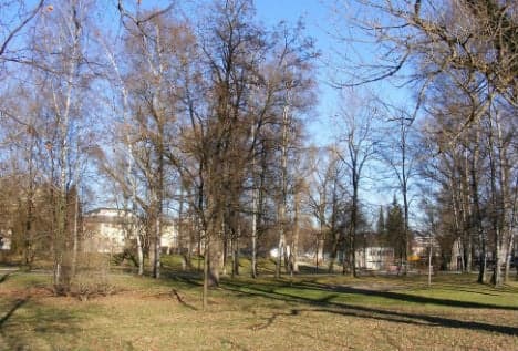 Eight arrests in Salzburg park stabbing