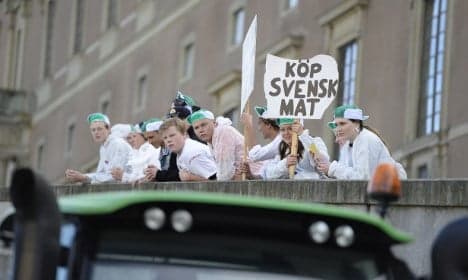 Swedish dairy farmers join protest in Stockholm