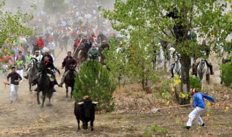 More than 3,000 Spanish festivals involve animal cruelty, says report