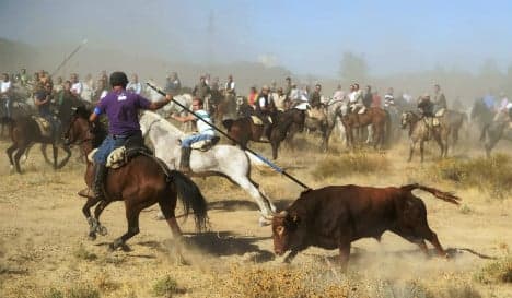 Protestors lock horns over Spain's controversial bull spearing festival