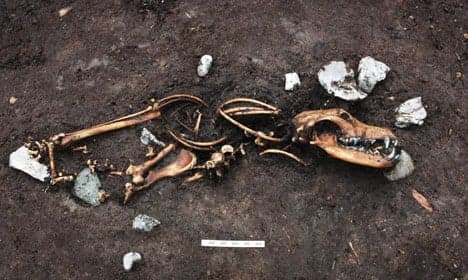 Iron Age sacrificial site uncovered in Denmark