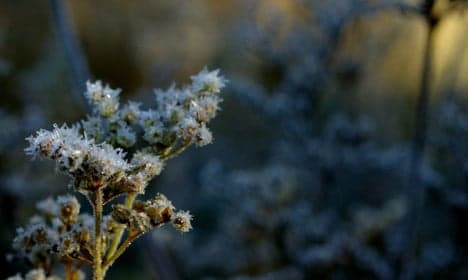 Denmark gets year's first taste of freezing temps