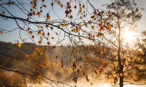 Swedish city basks in record autumn sunshine