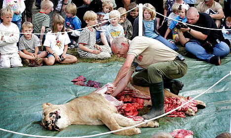 Lion dissection is 'incredibly Danish'