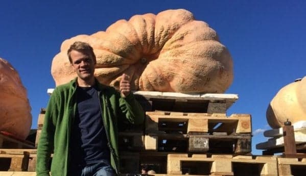 Swiss farmer wins second pumpkin title