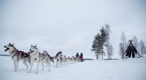 Luleå: 8 winter must-dos in Sweden's far north