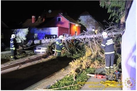 Gales leave trail of damage across Austria