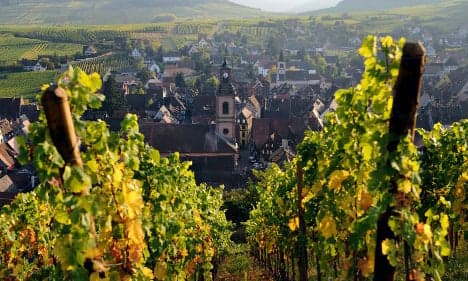 Winemakers promise Alsace red 'revolution'