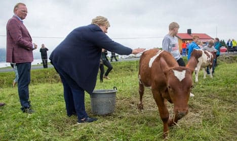 PM: Norway’s cows fart too much