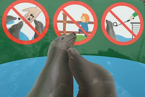 Vienna zoo rolls out partial 'selfie stick' ban