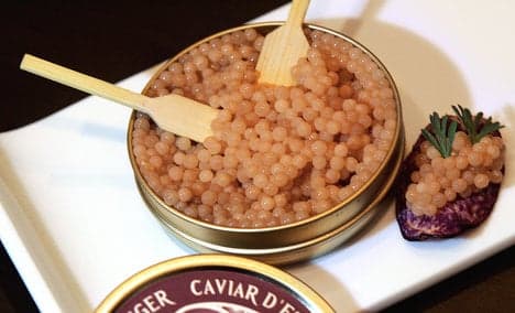 Snail caviar a delight for Sicilian startup