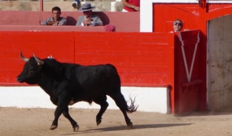 Bullfighting isn't barbaric: What I found in a year on breeding estates