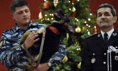 Russia gifts France pup after police raid dog slain
