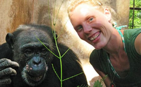 Vet's battle for chimp stranded in empty zoo