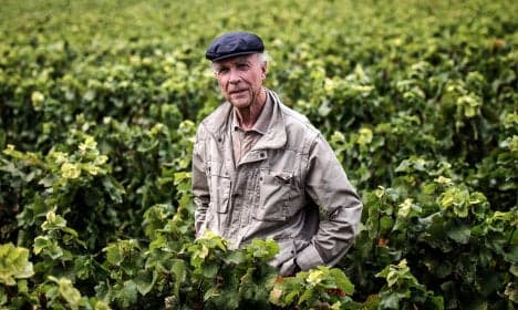 The wine legend who helped put Burgundy on the world map