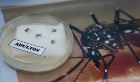 Spain urges calm amid fears over head-shrinking Zika virus