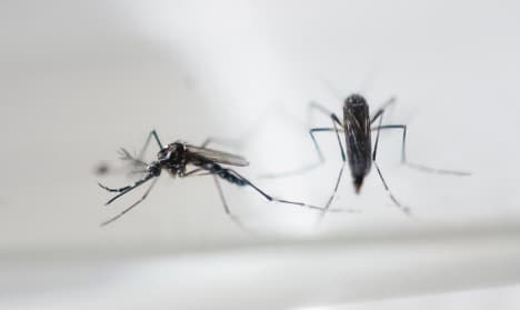 Zika virus: France's pregnant women told to skip Caribbean