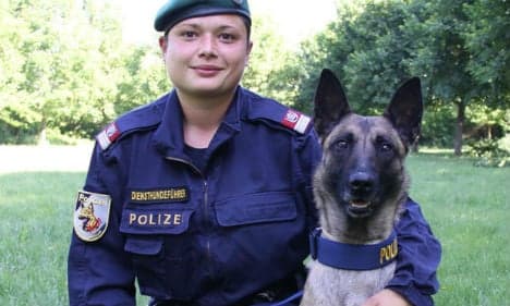 Police dog finds lost life savings in kitchen