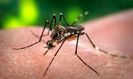 Fears as fetus-deforming Zika virus found in Italy