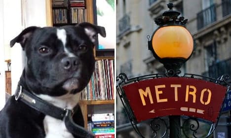 Paris: 'Miracle' Metro dog returned to grateful owner
