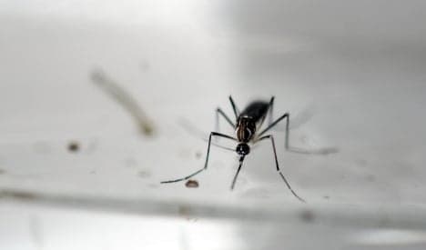 Spain reports first European zika case in pregnant woman